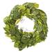Vickerman 724675 - 32" Green Mixed Jungle Foliage Wreath (FT230630) Home Office Wreath