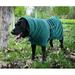 Dog Bathrobe Towel Dog Drying Coat-Dry Fast Dog Bag-Pineapple Grid Fast Drying Super Absorbent Pet Dog Cat Bath Robe Towel