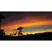 Coconut Trees Palm Sunset Trees Hawaii Clouds Red - Laminated Poster Print - 20 Inch by 30 Inch with Bright Colors and Vivid Imagery