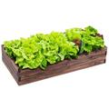 Wooden Raised Garden Bed Kit - Elevated Planter Box for Herbs and Vegetables