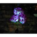 Solar Lights Outdoor Decorative - 1 Pack Hydrangea Solar Garden Stake Lights Waterproof and Realistic LED Flowers Powered Outdoor In-Ground Lights for Garden Lawn Patio Backyard