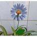 Stable Sunflower Stake Garden Yard Sunflower Stable Decor Flower Stake Garden Stake Sign