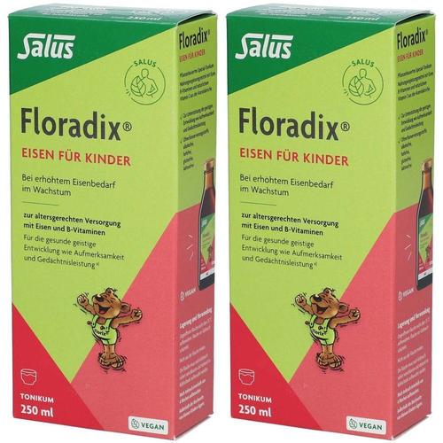 Floradix Eisen für Kinder Tonikum x2 2x250 ml