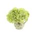 Primrue Hydrangea Floral Arrangement in Vase Silk | 9 H x 9 W x 9 D in | Wayfair 0441C37F22BD412E9B2457AA052E2404