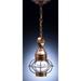Northeast Lantern Onion 15 Inch Tall Outdoor Hanging Lantern - 2512-DAB-MED-CLR