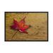 Red Barrel Studio® Dannilynn Leaf In The Rain Botanical Nature Photo Framed Wall Art Print Framed On Paper Print in Brown/Orange/Red | Wayfair