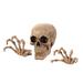 Set of 3 Beige Skeleton Skull and Hands Halloween Décor 8.5"