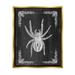 Stupell Industries Black & White Spider Framed On Wood by Lil' Rue Graphic Art Wood in Black/Brown | 21 H x 17 W x 1.7 D in | Wayfair