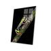 Latitude Run® Lamorris Red-Eyed Tree Frog, Sarapiqui, Heredia Province, Costa Rica by Panoramic Images /Acrylic in Black/Brown/Gray | Wayfair