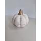 Ceramic Pumpkin, personalised pumpkin, white pumpkin, pumpkin decor, halloween pumpkin, pumpkin, trick or treat