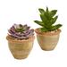 12" Succulent Artificial Plant in Glazed Ceramic Vase (Set of 2)