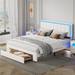 Storage Bed/Upholstered Platform Bed with LED Lights and Drawer