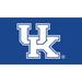 Kentucky Wildcats 28" x 16" Turf Mat