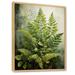 Gracie Oaks Yosgarth Ferns Plant Timeless Elegance IV On Canvas Print Canvas, Cotton in Green | 20 H x 12 W x 1 D in | Wayfair