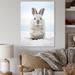 Gracie Oaks Nimble Hopper Rabbit II - Animals Wall Art Living Room Canvas, Cotton | 20 H x 12 W x 1 D in | Wayfair 4D1C75DCEF9B42ADB477E2FB05083276