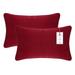 A1HC Set of 2 Luxurious Fine Soft Velvet Throw Pillow Covers Only, For Sofas, Beds, Vibrant Colors and Hidden YKK Zipper