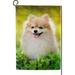 SKYSONIC Cute Pomeranian Dog Sitting in a Park Double-Sided Printed Garden House Sports Flag 28x40in Polyester Decorative Flags for Courtyard Garden Flowerpot