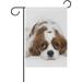 SKYSONIC Garden Flag Cavalier King Charles Spaniel Laying Double-Sided Printed Garden House Sports Flag - 12x18in -Decorative Flags for Courtyard Garden Flowerpot