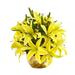 Nearly Natural Lily Artificial Arrangement in Gold Vase