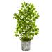 Nearly Natural 9921 37â€� Mini Ficus Artificial Tree in White Washed Vintage Metal Pail