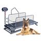 HLGKBY Dog Treadmill for Large Medium Dogs, Pet Dog Running Machine Exercise Equipment, With LCD Display Scree, Speed 0.8-12 Km/H, for Dogs Indoor & Outdoor Training, Up To 220LB, Easy to Assemble