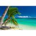 Highland Dunes Palm Trees Hanging over Tropical Beach in Fiji by Mvaligursky - Wrapped Canvas Photograph Canvas | 12 H x 18 W x 1.25 D in | Wayfair