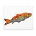 Rosecliff Heights Orange Fish - Wrapped Canvas Graphic Art Canvas in Orange/White | 9 H x 12 W x 1 D in | Wayfair 0EBA3B3CE87147EBB38F5C5C95F017F8