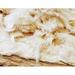 White Lotus Home Kapok Fiber Bean Bag Replacement Fill | 1 H x 1 W x 1 D in | Wayfair WSNK010