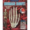 Life-Sized: Human Body! (with Life-Sized Replica Skeleton Hand!) (Hardcover) - Steve Setford