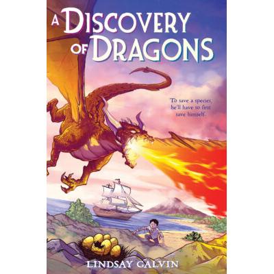 A Discovery of Dragons (Hardcover) - Lindsay Galvin