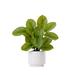 12in. Artificial Calathea Plant with Decorative Planter - Nearly Natural P1917