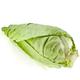 Vegetable Cabbage 'Hispi' 12 X Plug Plant Pack