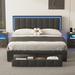 17 Stories Annaleice Storage Platform Bed w/ LED Lights Wood & /Upholstered/Metal & /Metal/Faux leather in Black | Wayfair