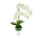 Creative Displays, Inc. Orchids Floral Arrangements & Centerpieces in Vase Plastic/Polysilk | 26 H x 15 W x 10 D in | Wayfair CDFL4069