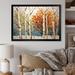 Millwood Pines Birch Wood Seasonal Birch III On Canvas Print Canvas in Green | 12 H x 20 W x 1 D in | Wayfair CD256AB0883B4AF3904EE72F9D58F235