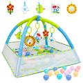 Dr.Rapeti Baby Play Mat, Baby Play Gym, Playmats & Floor Gyms, Infant Activity Gym Mat, Play Mat with Play Arch, Detachable Mirror, Soft Book and Balls Toys, Thick Non Toxic Playmats