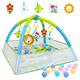 Dr.Rapeti Baby Play Mat, Baby Play Gym, Playmats & Floor Gyms, Infant Activity Gym Mat, Play Mat with Play Arch, Detachable Mirror, Soft Book and Balls Toys, Thick Non Toxic Playmats