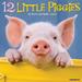 12 Little Piggies 2024 Wall Calendar, 12" L X 12" W, Large, 12 IN