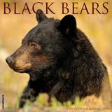 Black Bears 2024 Wall Calendar, 12" L X 12" W, Large, 12 IN