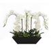 Jenny Silks Cream White Real Touch Phalaenopsis Orchids in Modern Black Pot