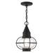 1 Light Outdoor Pendant Lantern in Bohemian Style 8.75 inches Wide By 11.75 inches High-Black Finish Bailey Street Home 218-Bel-4363229