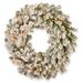 National Tree Company 30" Feel Real Snowy Sheffield Spruce Wreath w/ 100 Battery Operated twinkly LED Lights W/Timer Most Realistic Faux | Wayfair