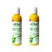 Alba Botanica Natural Acnedote Deep Pore Wash 6 Ounce. (Pack Of 2)