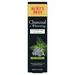 Burt s Bees Toothpaste Charcoal Zen Peppermint 4.7oz (Pack of 14)