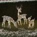 Sunisery Pre-lit Christmas Reindeer Family Outdoor Holiday Deer Yard Decoration with Warm White LED Lights