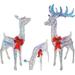 3 Piece Iridescent Reindeer Family Lighted Deer Set 210 Lights 52 Buck 44 Doe 28 Fawn Large Deer Family for Indoor or Outdoor Christmas Decorations Yard Art (Iridescent Deer Set)