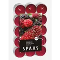 Spaas Mulberry Wine Tea Lights Small, Pack Of 30