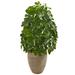 Schefflera Artificial Plant in Sand Colored Planter (Real Touch)