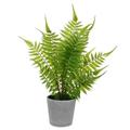 Artificial Decor Plant Potted Plants Fern Potted Decorative Fakein Greenery Mini Succulent Faux Flowers Greenery Desk