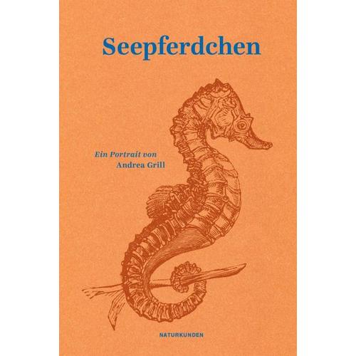 Seepferdchen - Andrea Grill